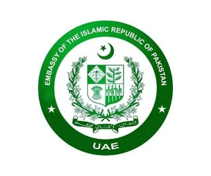Logo 15